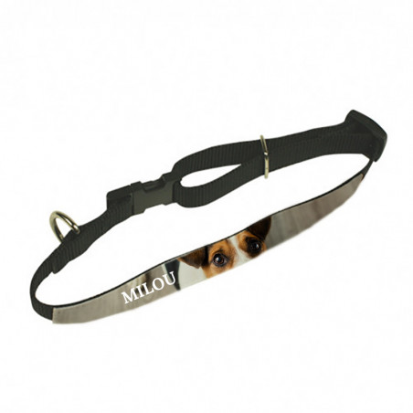 Collier animal personnalisé Collier animal personnalisé