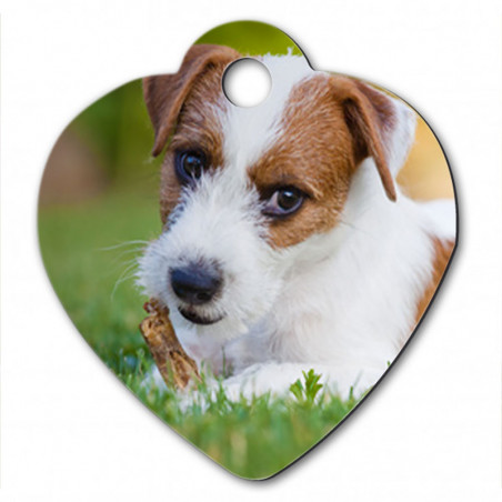 Medaille pour animaux en coeur Medaille pour animaux en coeur