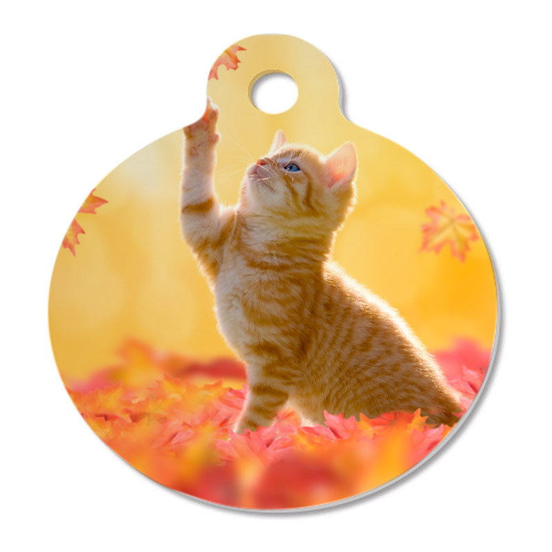 Médaille ronde chat photo