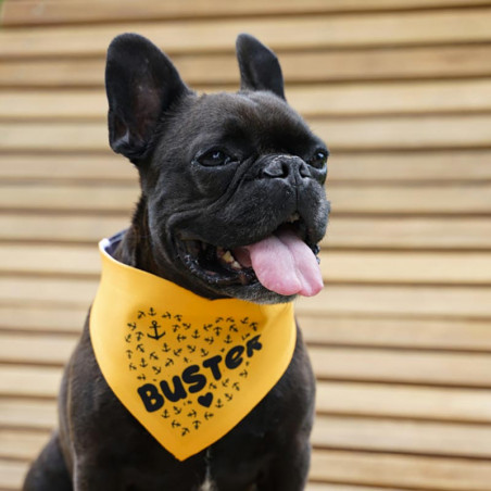 bandana chien personnalisable