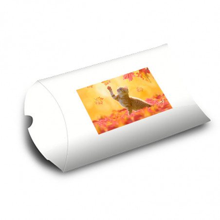 Boite puzzle blanche Boite puzzle blanche