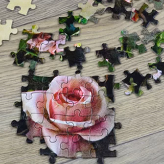 Puzzles à personnaliser avec vos images