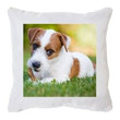 Coussin & Housse de coussin